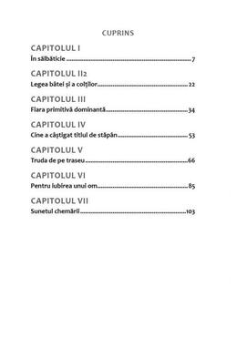 Copertă produs Chemarea străbunilor