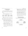 Copertă produs Curriculum (Vol. 13) - thumb 3