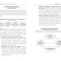 Copertă produs Curriculum (Vol. 13) - gallery small 