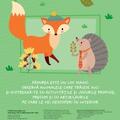 Copertă produs Pădurea. Activități și abțibilduri - gallery small 