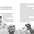 Copertă produs Un măcăleandru vrăjit (Vol. 4) - gallery small 
