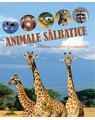 Copertă produs Animale sălbatice - thumb 1