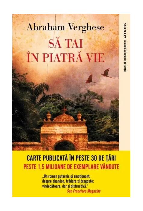 Copertă produs Să tai în piatră vie