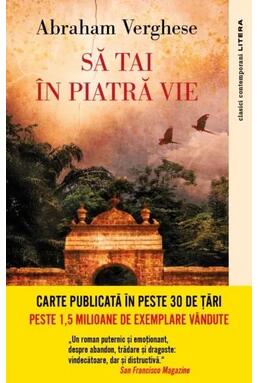 Copertă produs Să tai în piatră vie