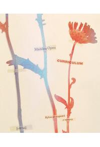 Copertă produs Curriculum