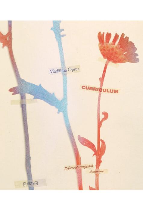 Copertă produs Curriculum