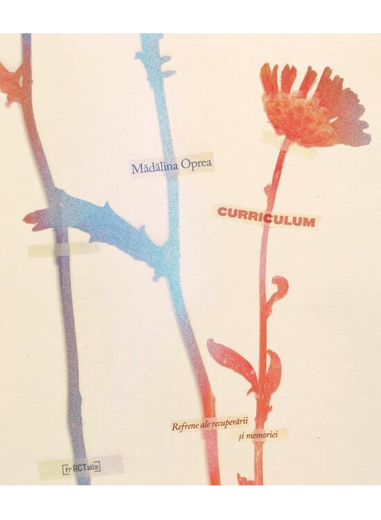 Copertă produs Curriculum - gallery big 1