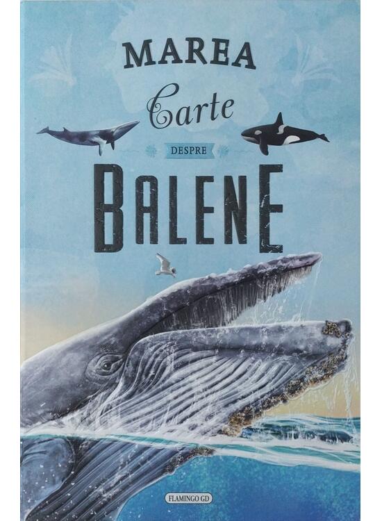 Copertă produs Marea carte despre balene - gallery big 1