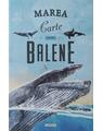 Copertă produs Marea carte despre balene - thumb 1