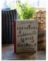 Copertă produs Adevăruri nebănuite despre animale - thumb 3