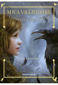 Copertă produs Labirintul trecutului (Vol. 5)