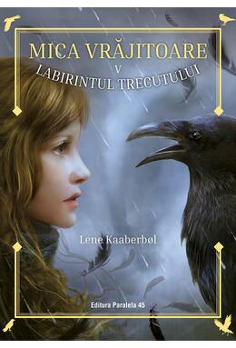 Copertă produs Labirintul trecutului (Vol. 5)