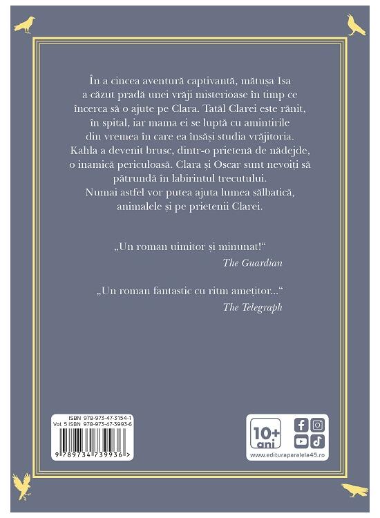 Copertă produs Labirintul trecutului (Vol. 5) - gallery big 2
