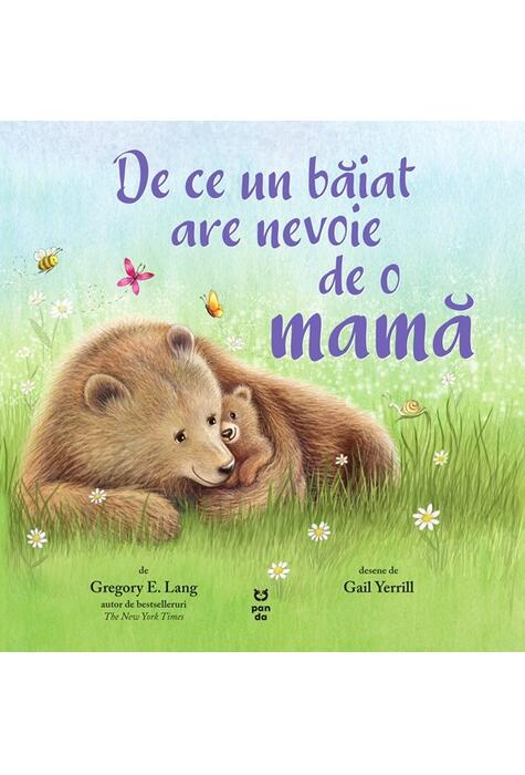 Copertă produs De ce un băiat are nevoie de o mamă