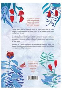 Copertă produs Zmeu Robot