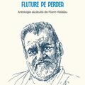 Copertă produs Fluture pe perdea - gallery small 