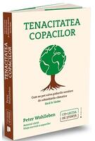 Tenacitatea copacilor