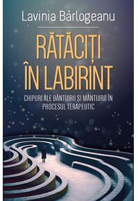 Copertă produs Rătăciți în Labirint