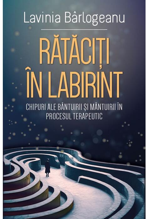 Copertă produs Rătăciți &icirc;n Labirint