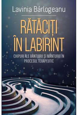 Copertă produs Rătăciți &icirc;n Labirint