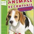 Copertă produs Animal Planet. Animale de companie - gallery small 