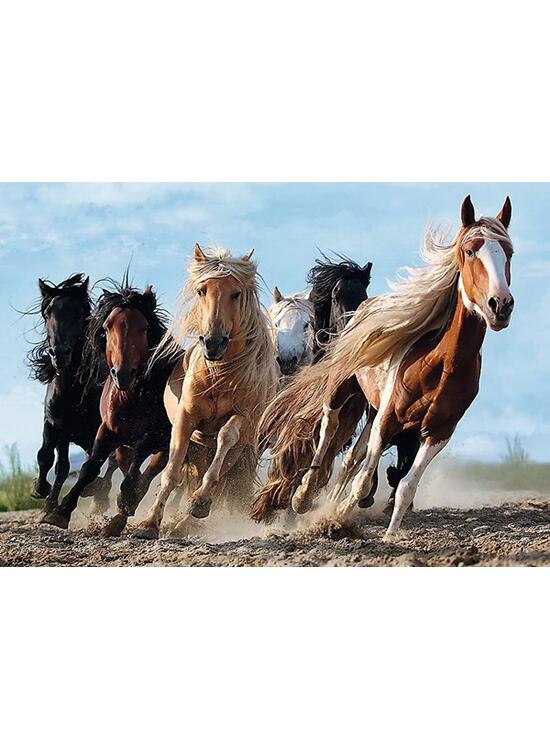 Copertă produs Puzzle 1000 piese &bdquo;Cai la galop&rdquo; - gallery big 2