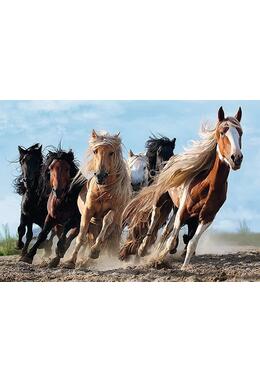 Copertă produs Puzzle 1000 piese &bdquo;Cai la galop&rdquo;