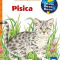 Copertă produs Pisica - gallery small 