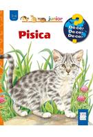 Imagine produs Pisica