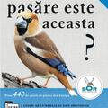 Copertă produs Ce pasăre este aceasta? - gallery small 