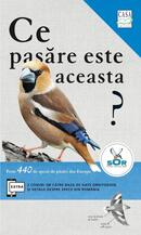 Ce pasăre este aceasta?