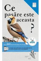 Ce pasăre este aceasta?