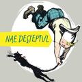 Copertă produs Nae deșteptul - gallery small 