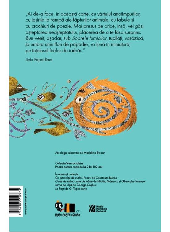 Copertă produs Soarele furnicilor - gallery big 2