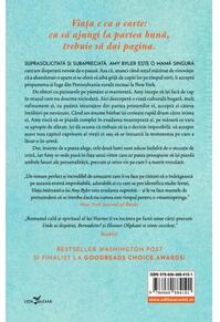 Copertă produs Viața întârziată a lui Amy Byler