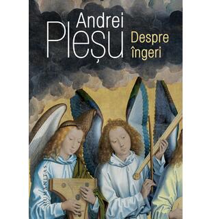 Despre &icirc;ngeri
