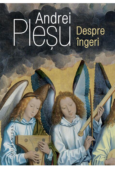 Copertă produs Despre îngeri