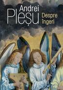 Despre &icirc;ngeri