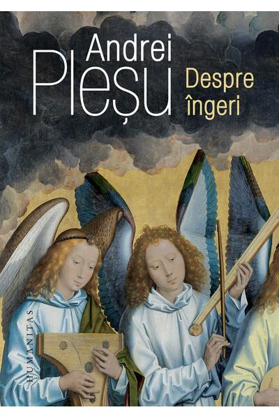 Despre &icirc;ngeri