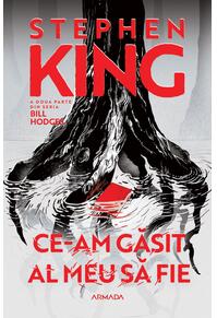 Copertă produs Ce-am găsit al meu să fie (Vol. 2)