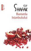 Bastarda Istanbulului (Top 10+)