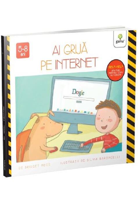 Copertă produs Ai grijă pe internet