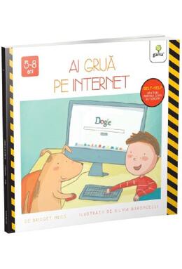 Copertă produs Ai grijă pe internet