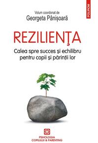 Copertă produs Rezilienţa