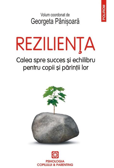 Copertă produs Rezilienţa
