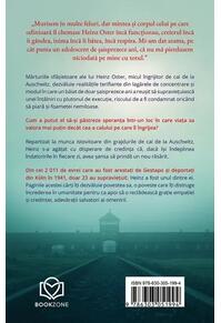 Copertă produs Micul îngrijitor de cai