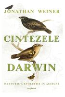 Cintezele lui Darwin