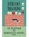 Copertă produs Un blestem cu domiciliu stabil - thumb 1