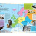 Copertă produs Atlas cu animale - gallery small 