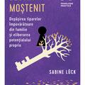 Copertă produs Destin moștenit - gallery small 